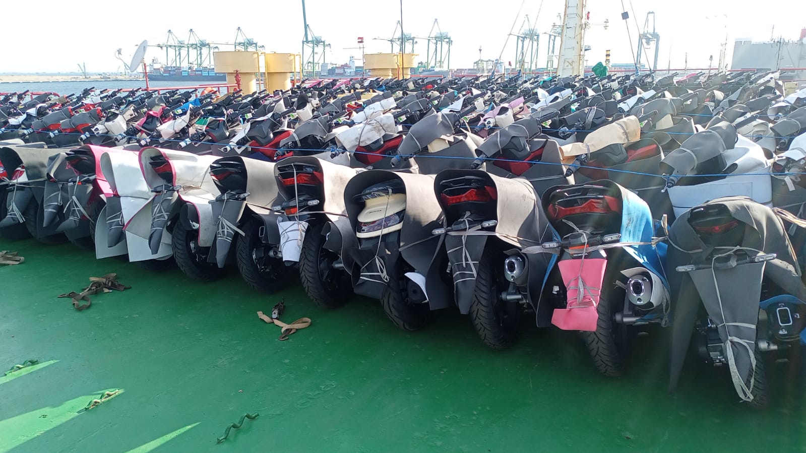 Kargo Motor